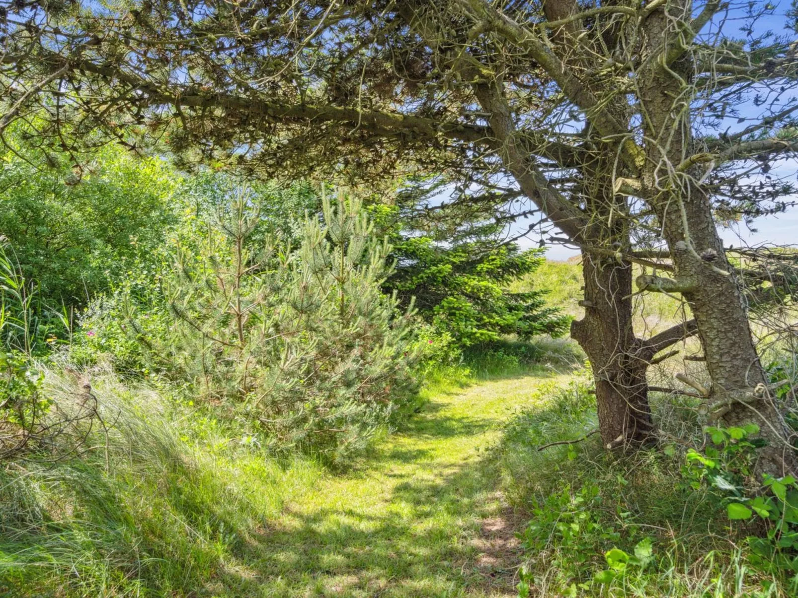 "Hunlef" - 1.7km from the sea-Buiten