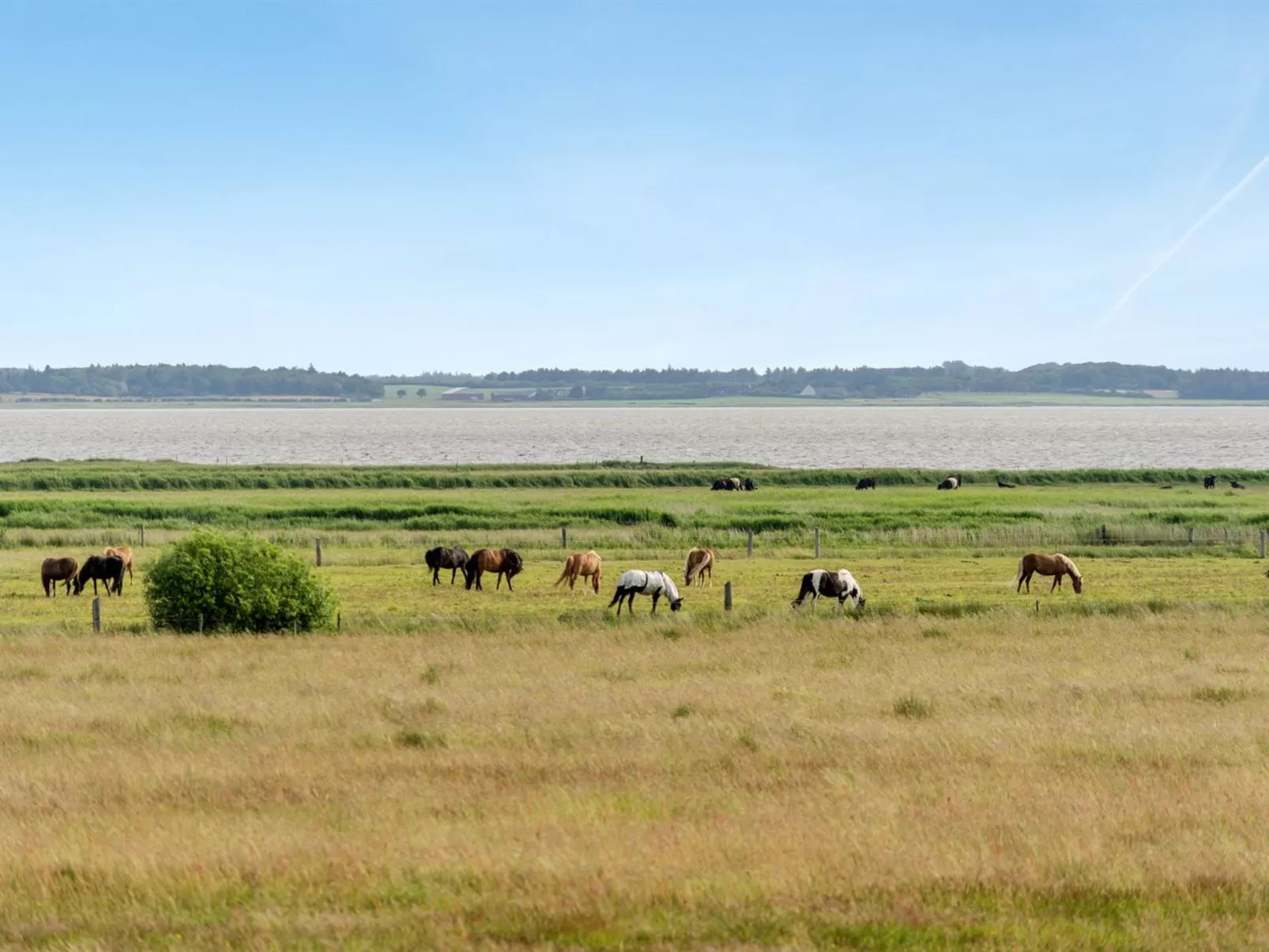"Eltje" - 4km from the sea-Buiten