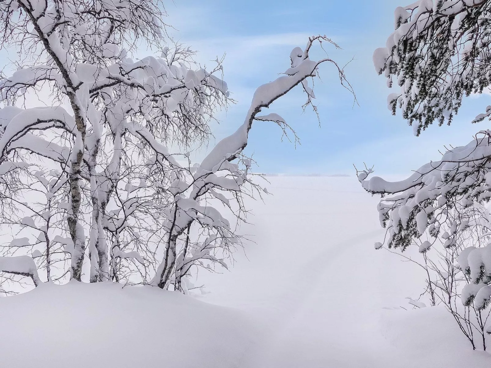 Lappi dream house-Binnen