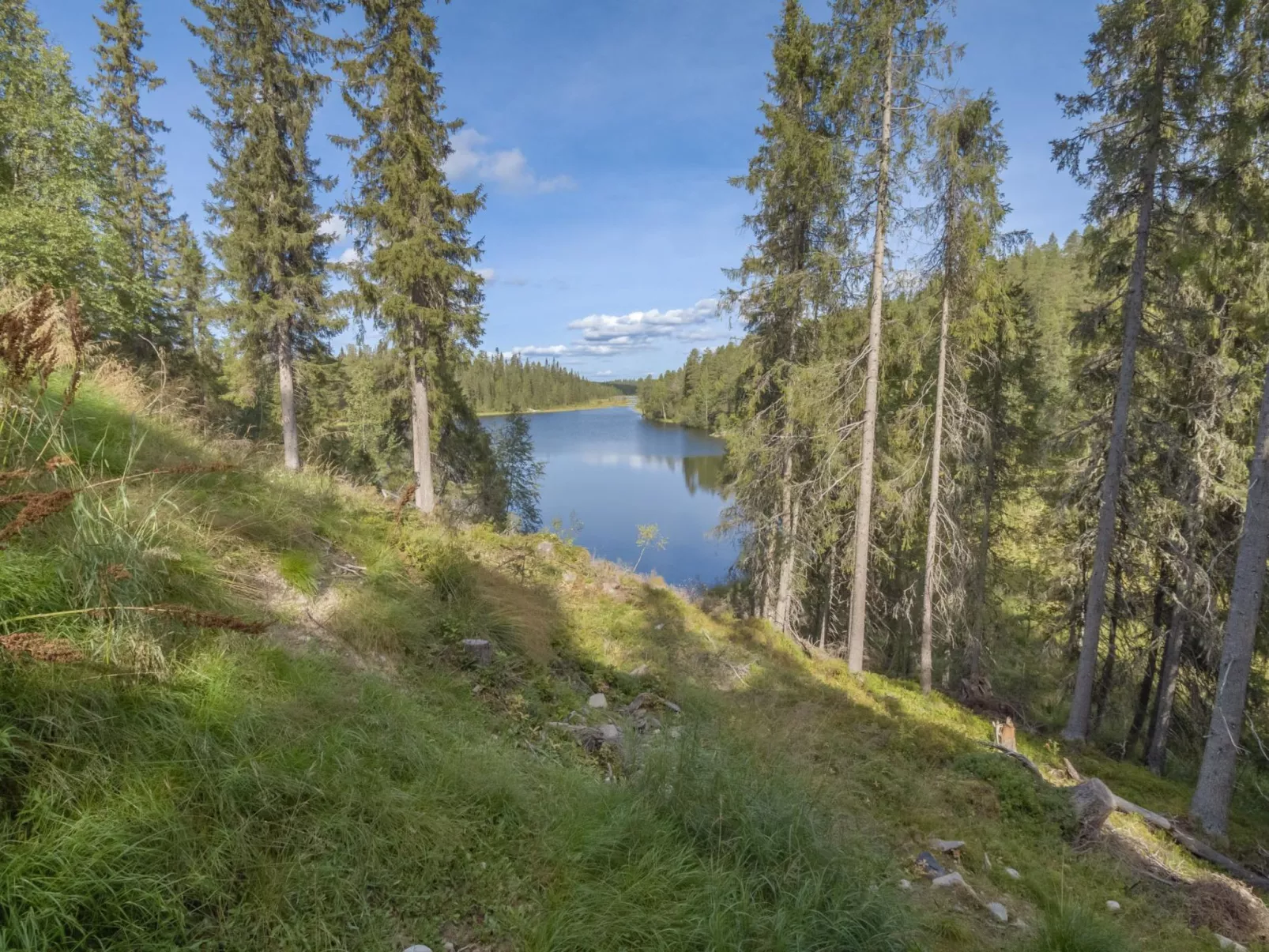 Villa ukkometso-Binnen