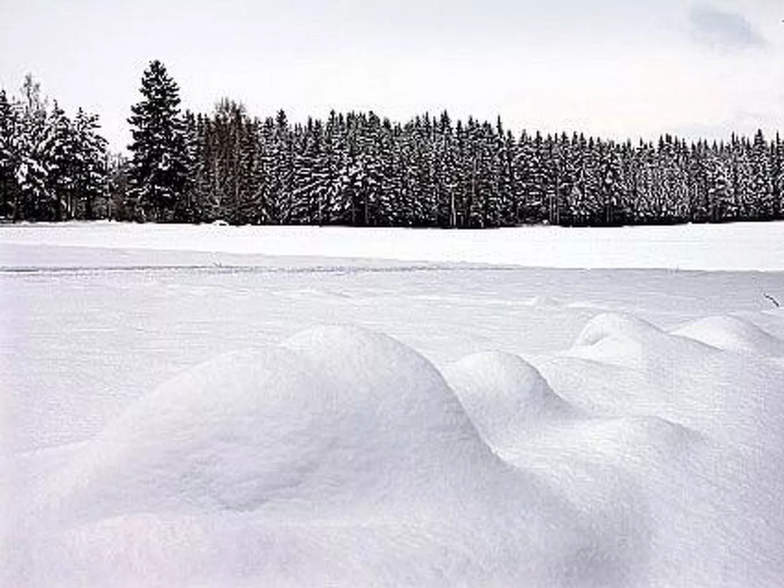 Kopinkallio 2-Binnen