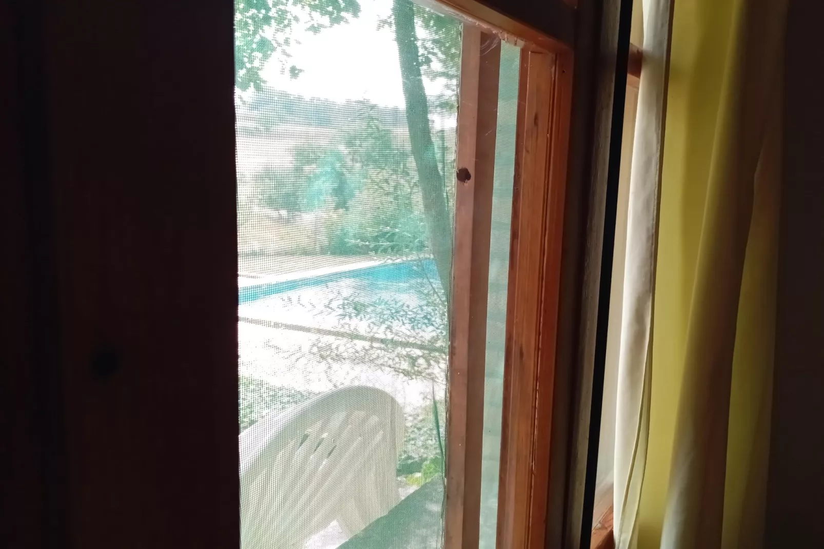 Cal Xelin-Uitzicht zomer