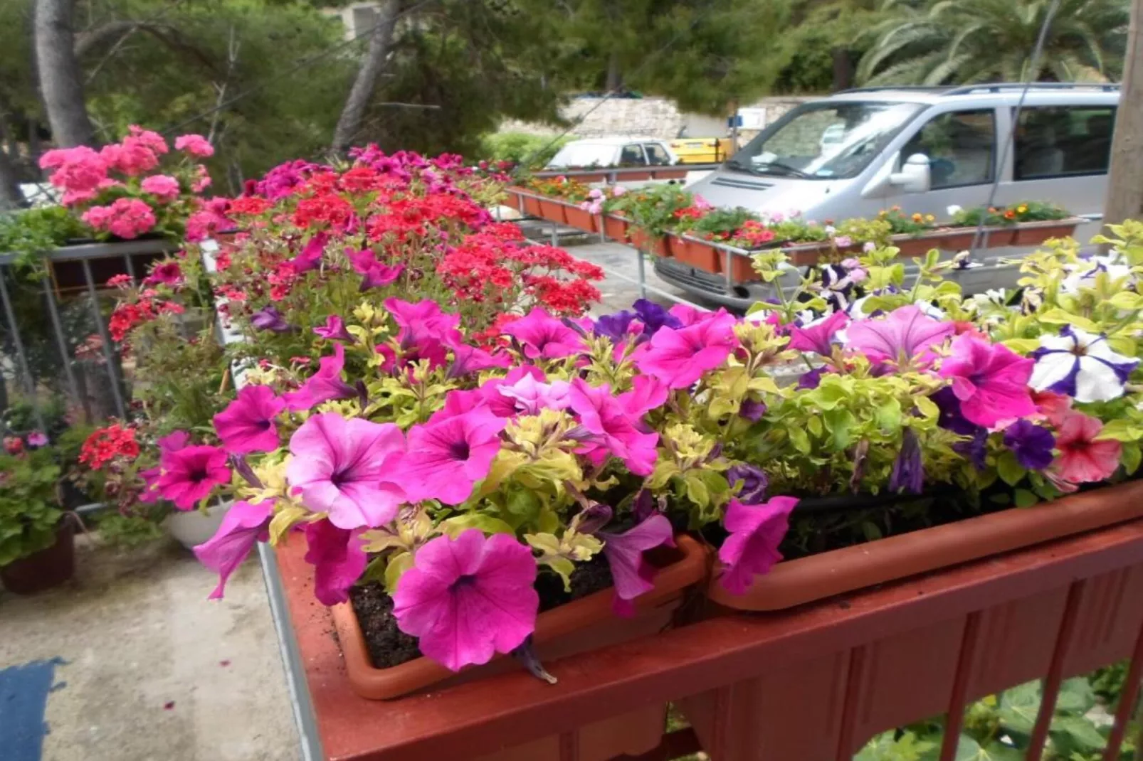 Guest House Sobra 38 - Double Room 1-Terrasbalkon