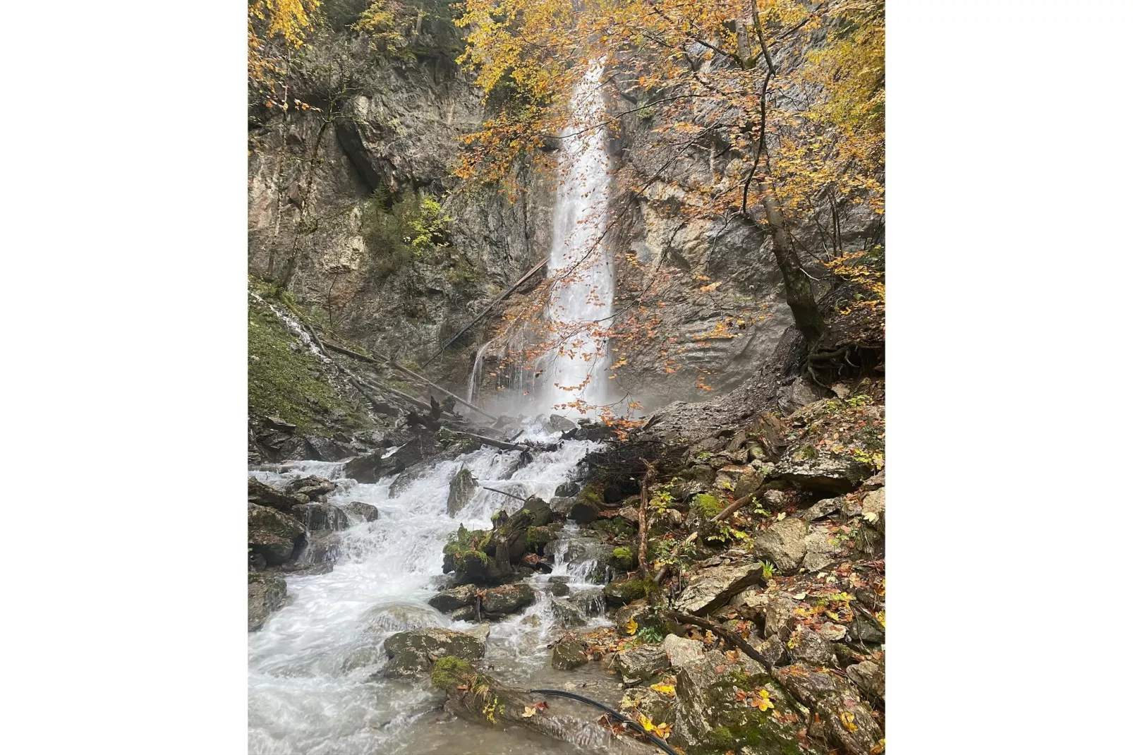 Les Sorbiers-Gebieden zomer 5km