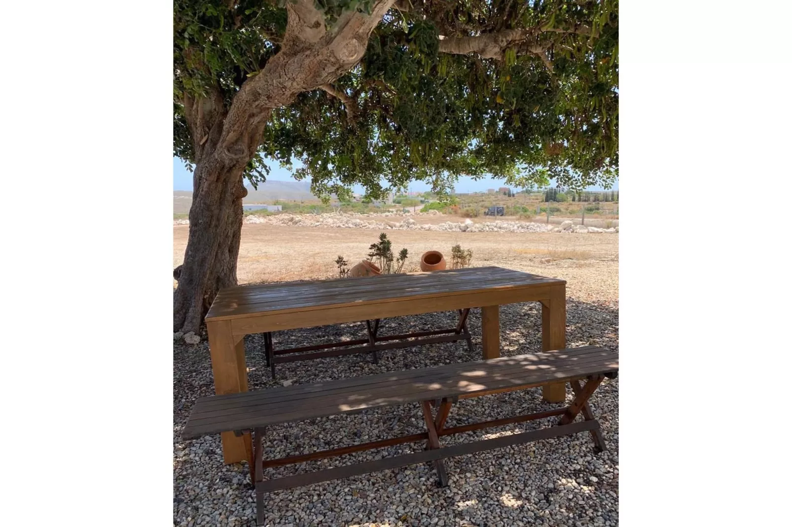 CT 354 AL - Faro's Casa Piedra - Agua Amarga - Cabo de Gata-Tuinen zomer