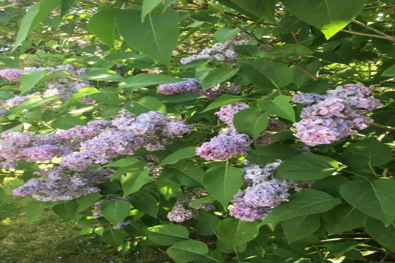 Hausboot in Zehdenick-Gebieden zomer 20km
