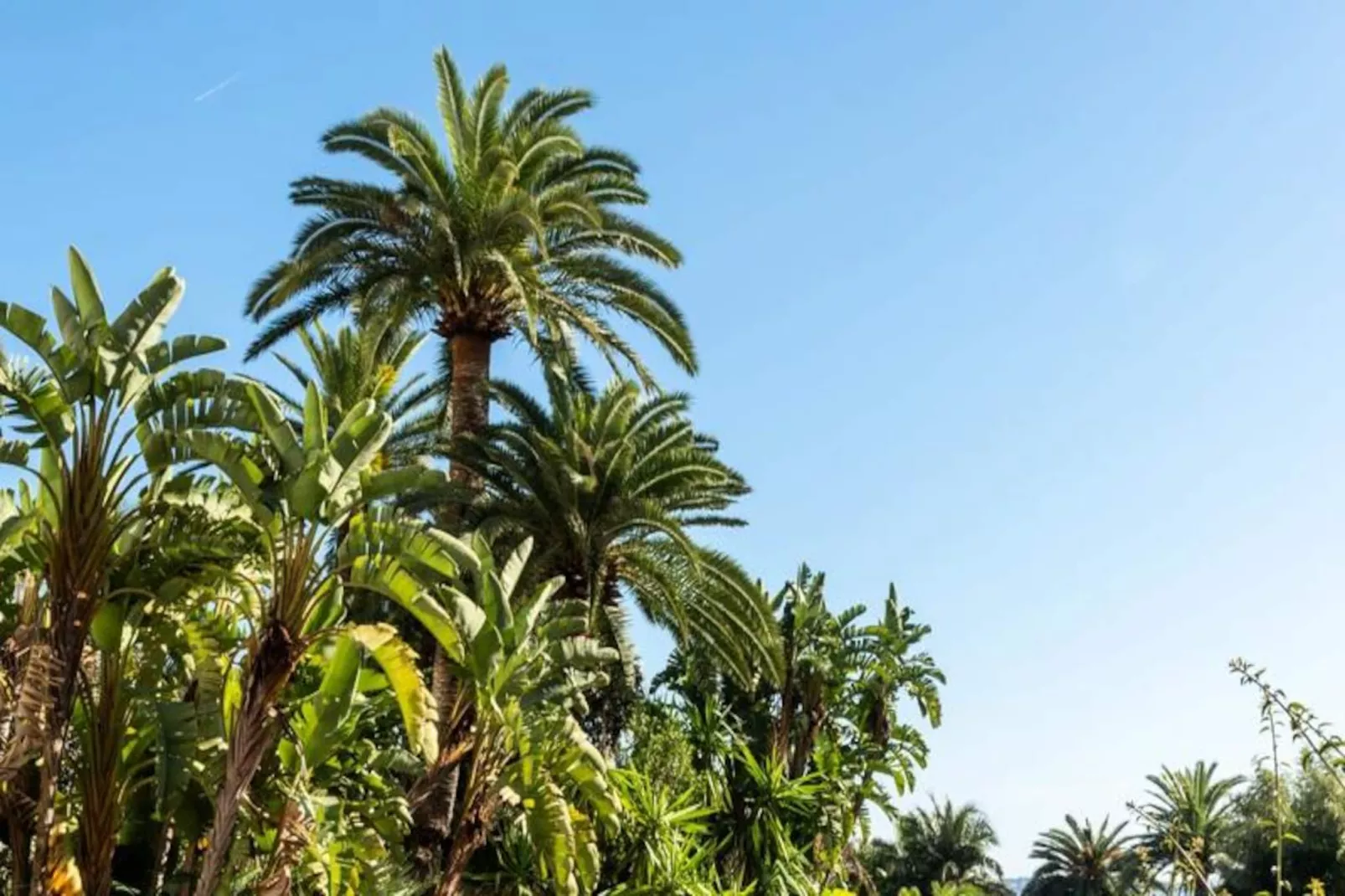 Résidence C&ocirc;te D&rsquo;azur, Vue Mer, Tennis, Plage-Niet-getagd