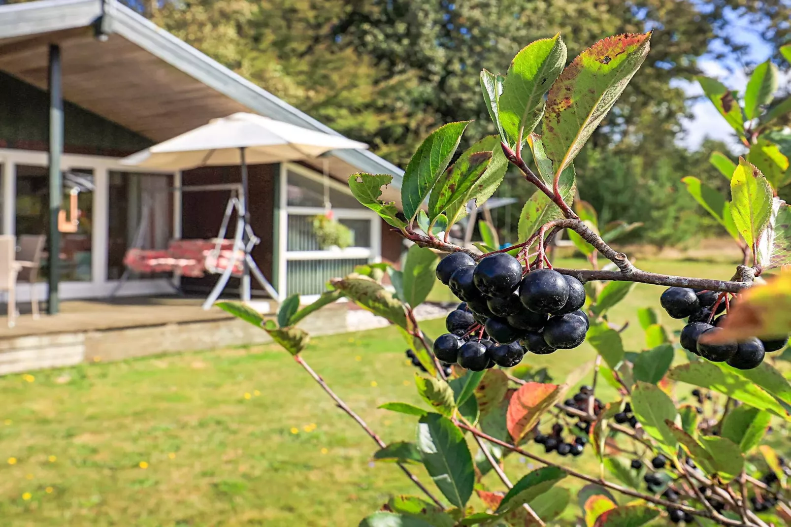 8 persoons vakantie huis in Skals-By Traum-Uitzicht