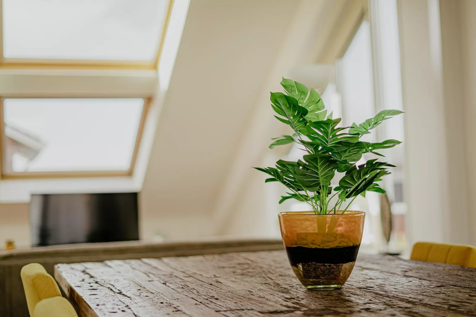 Waterpark de Meerparel 12-Sfeer