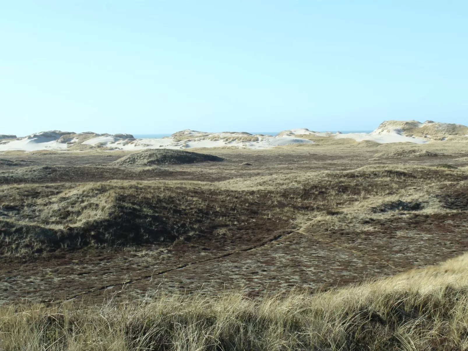 "Swanja" -  from the sea-Buiten