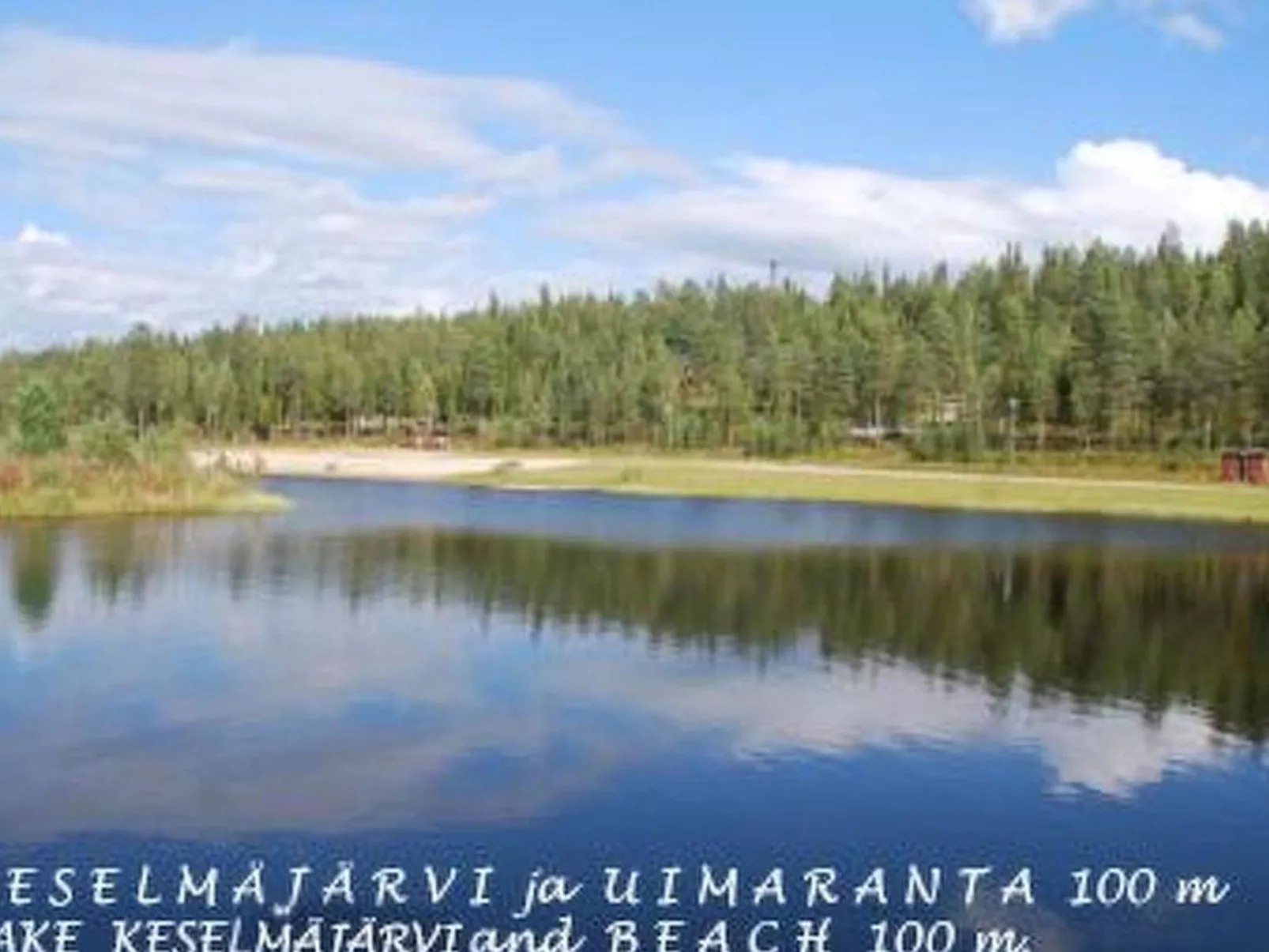 Sallanhelmi a2-Binnen