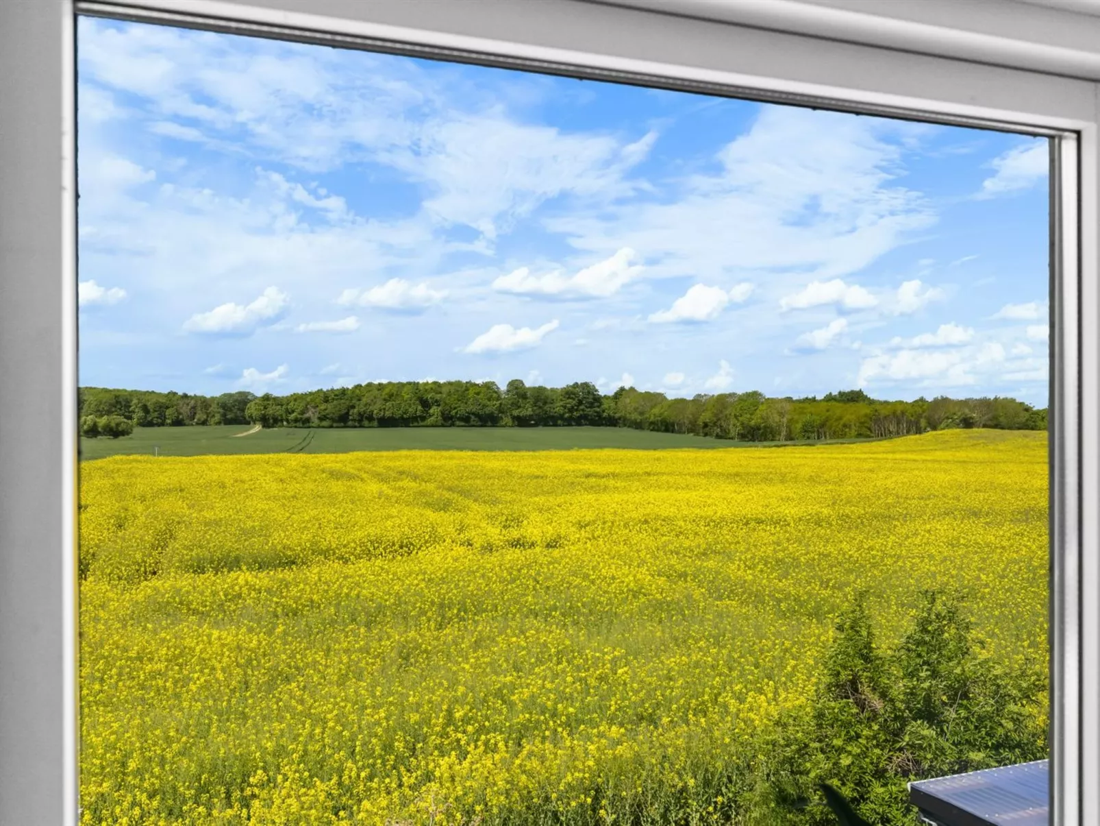 "Alisa" - 2.5km from the sea-Buiten