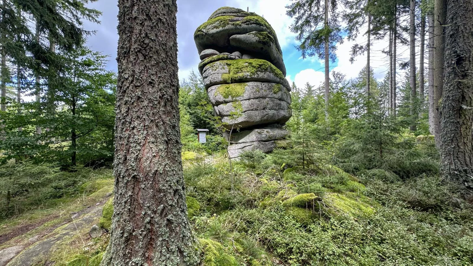 Rehberg Hütte-Gebieden zomer 5km