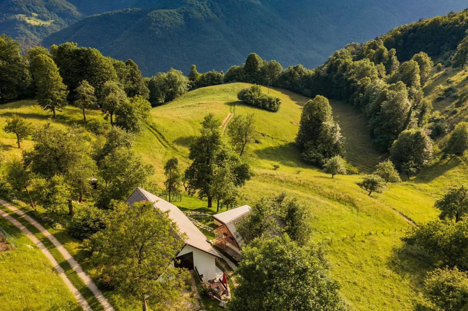 Nature Hideaway Holiday Homes with Sauna - One Bedroom Holiday Home (owner Pika)-Uitzicht