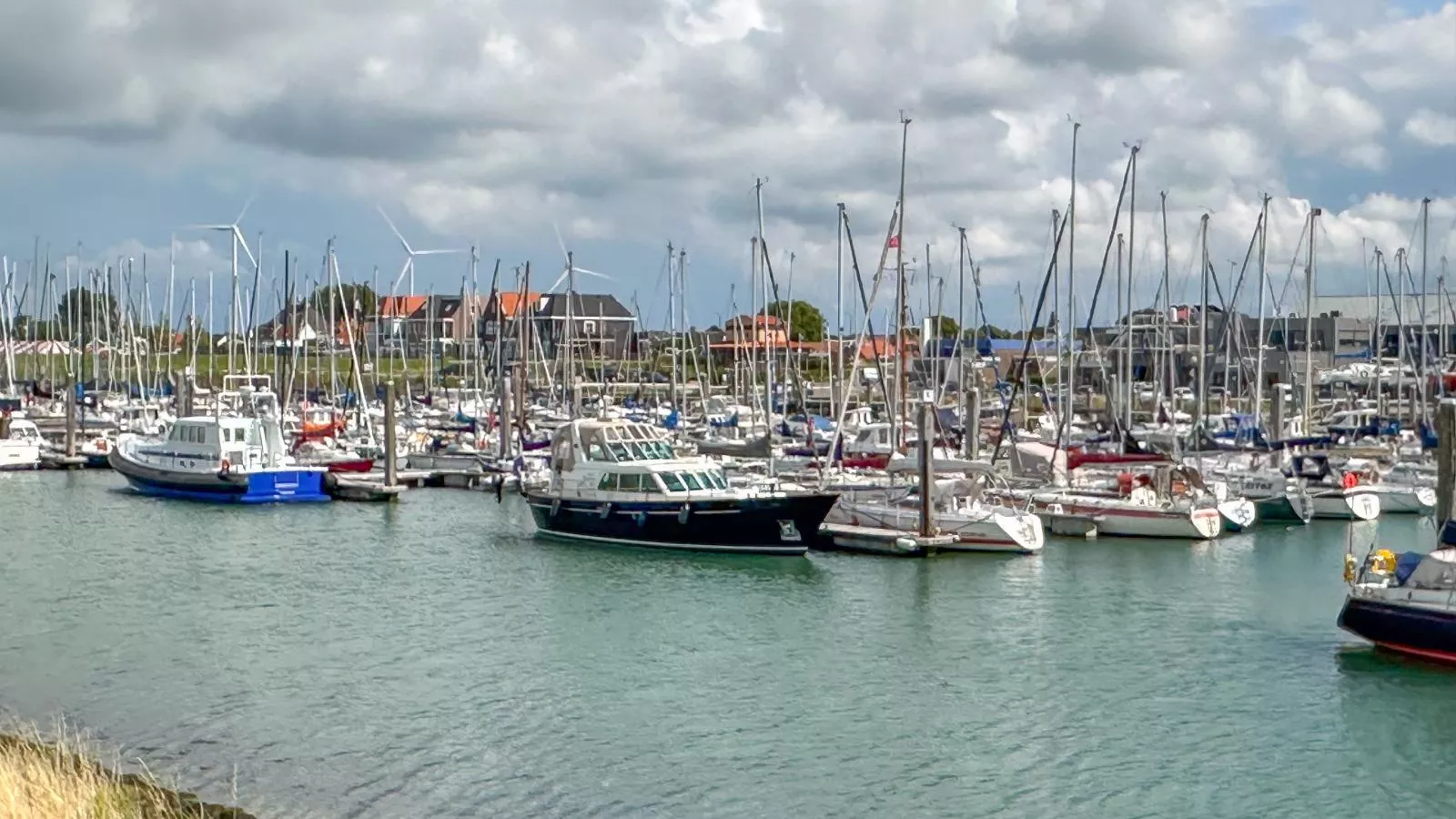 Coast and Calm 63-Gebieden zomer 1km