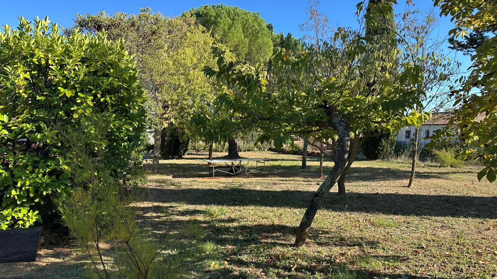 Le clos de la Tuf-Tuinen zomer