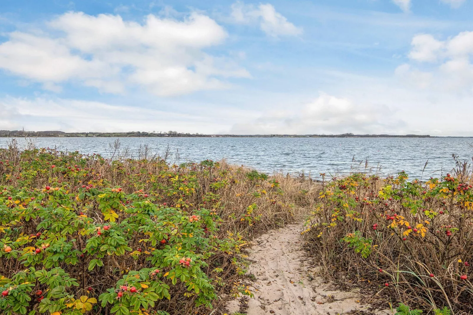 5 sterren vakantie huis in Sjølund-Niet-getagd