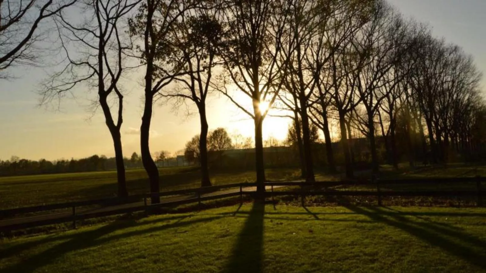 De Open Schuur-Uitzicht zomer