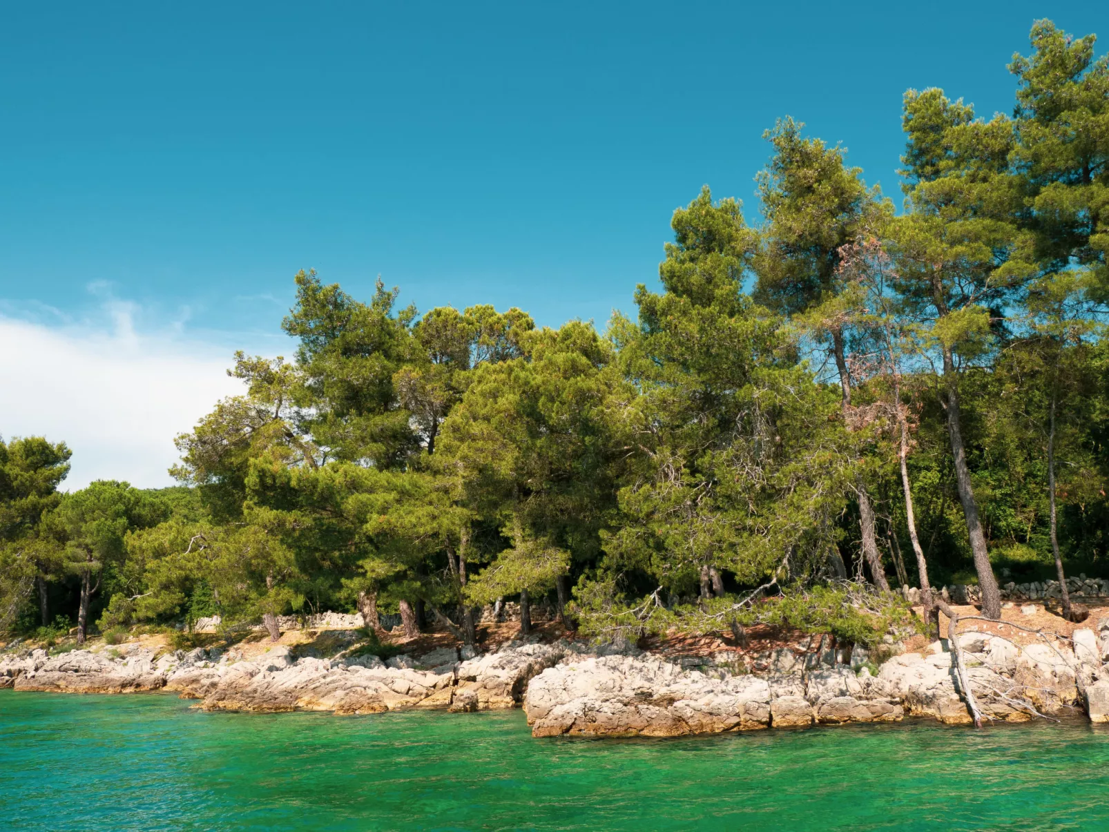 Villa Gisela-Omgeving