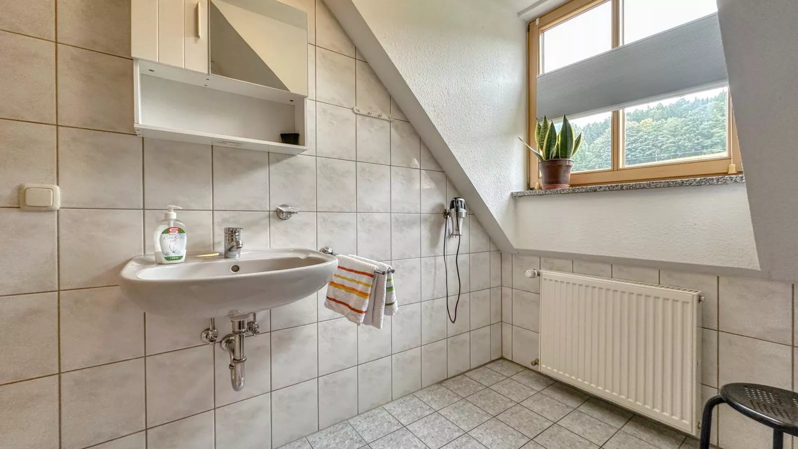 Blumenhof II-Badkamer