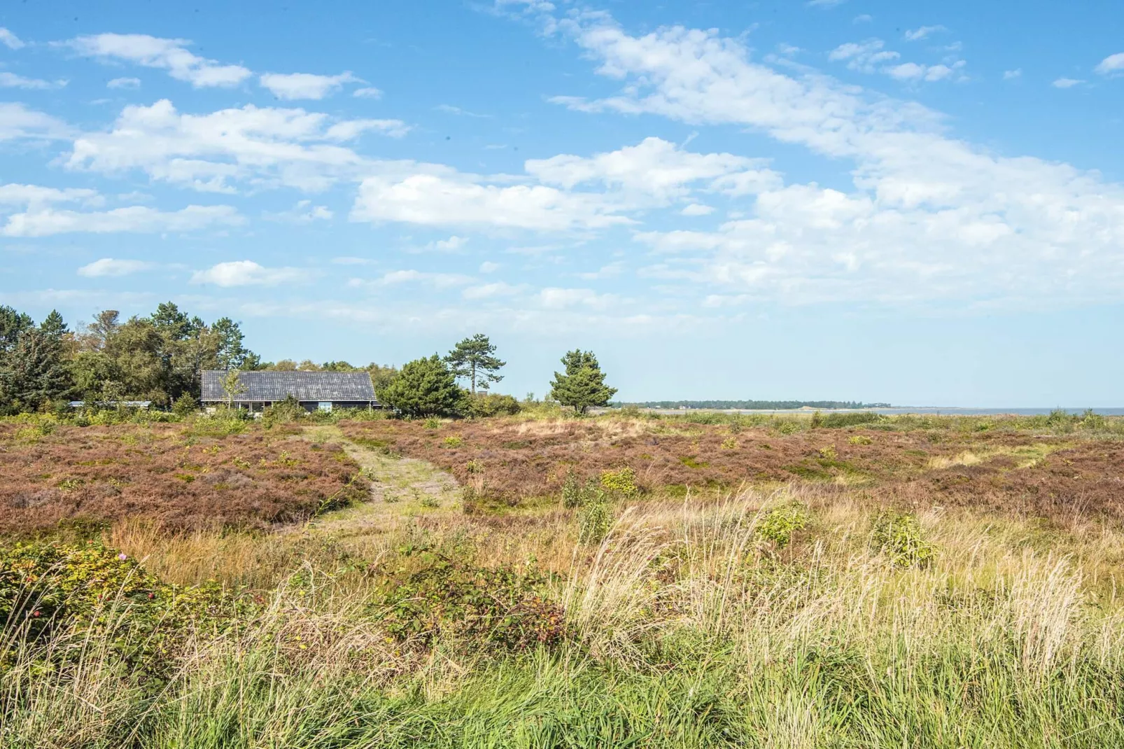 4 persoons vakantie huis in Rømø-By Traum-Niet-getagd