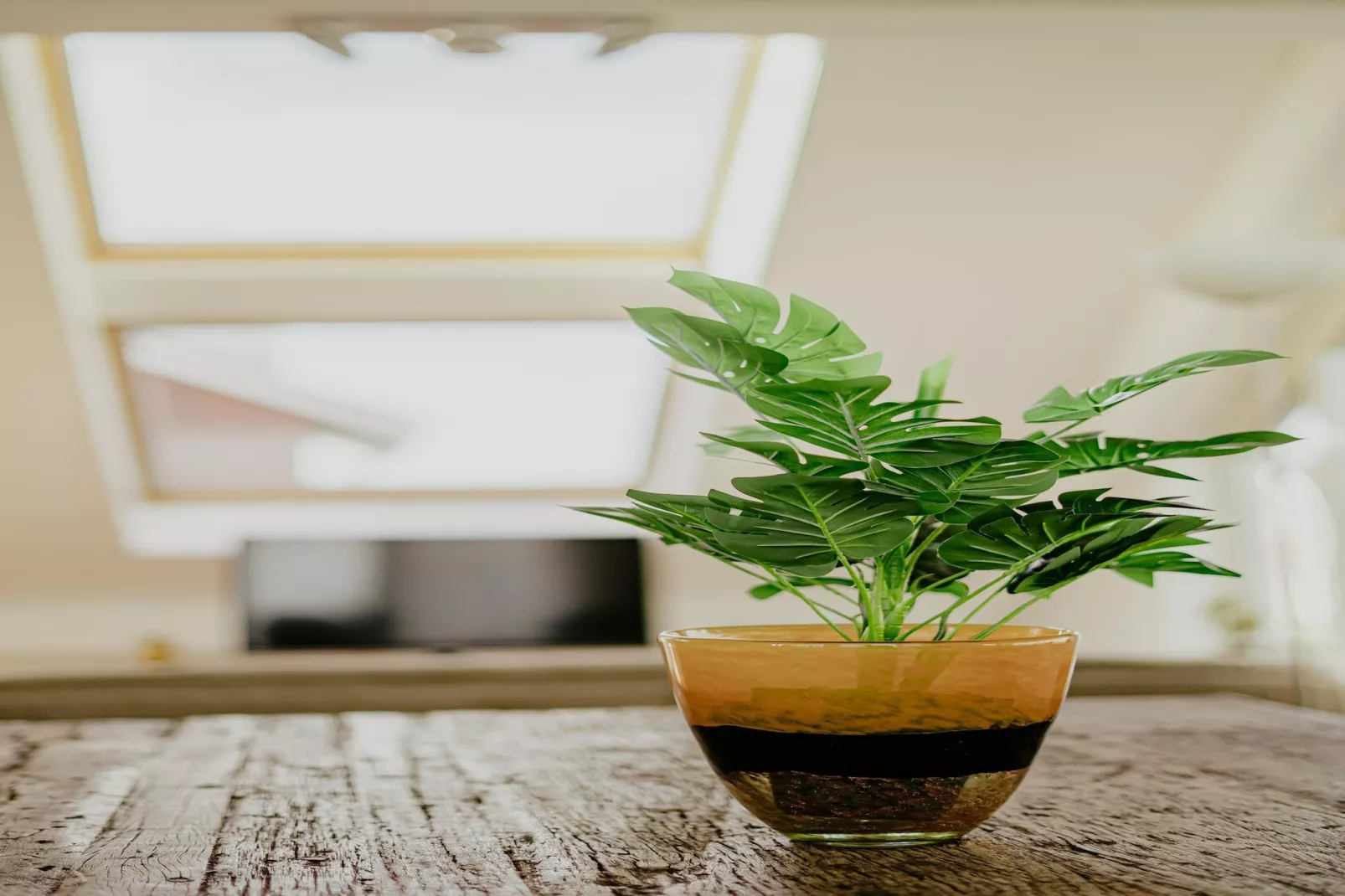 Waterpark de Meerparel 12-Sfeer