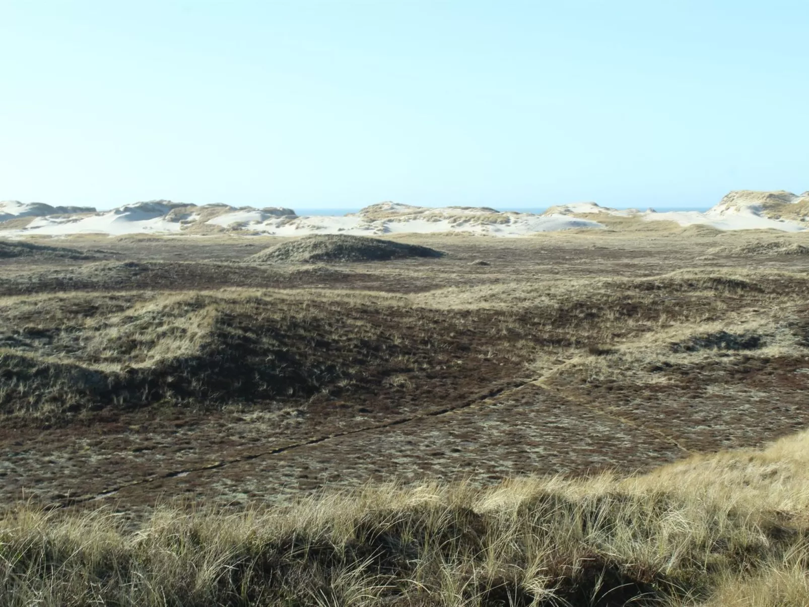 "Swanja" -  from the sea-Buiten