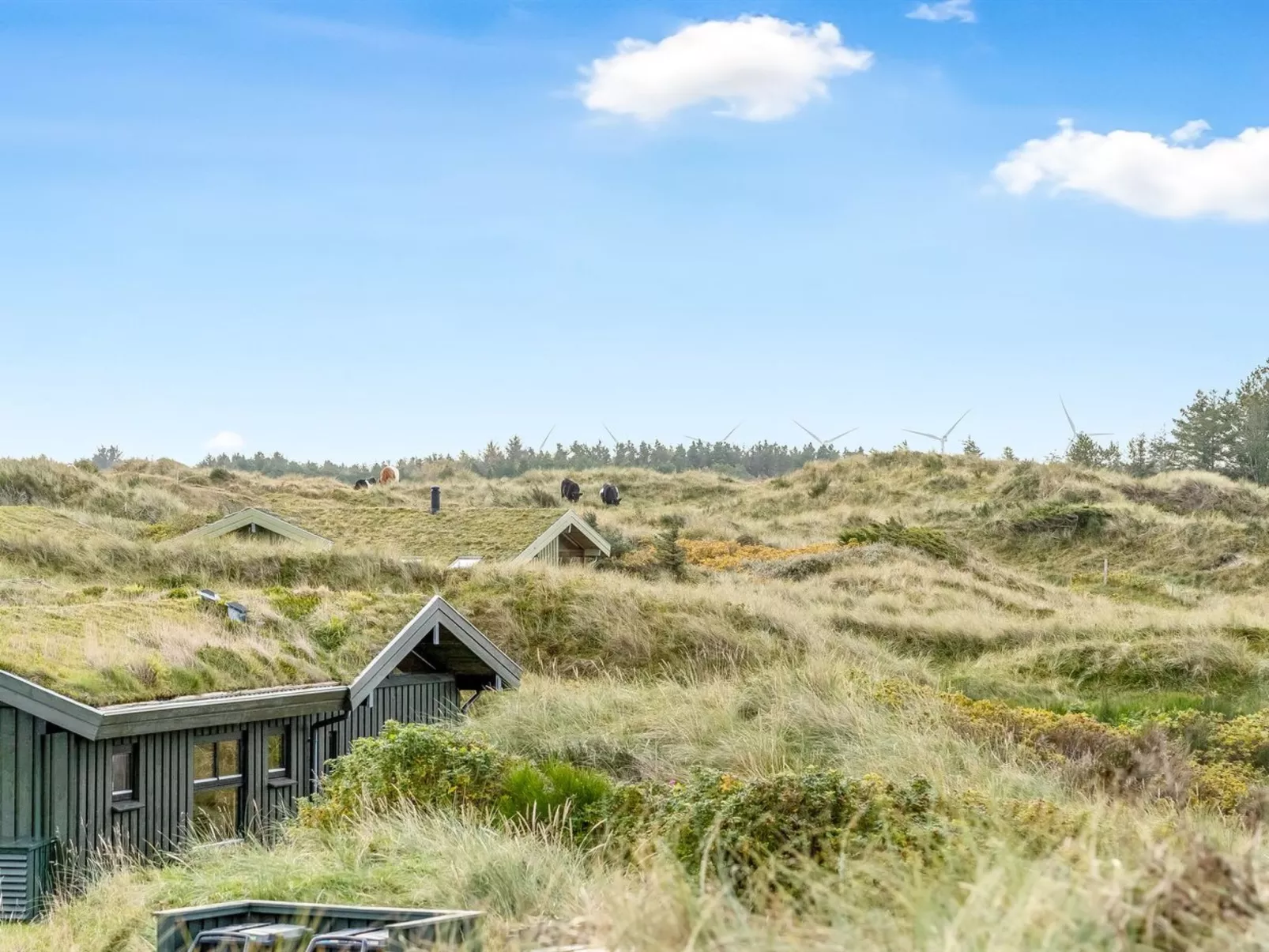 "Fransine" - 480m from the sea-Buiten