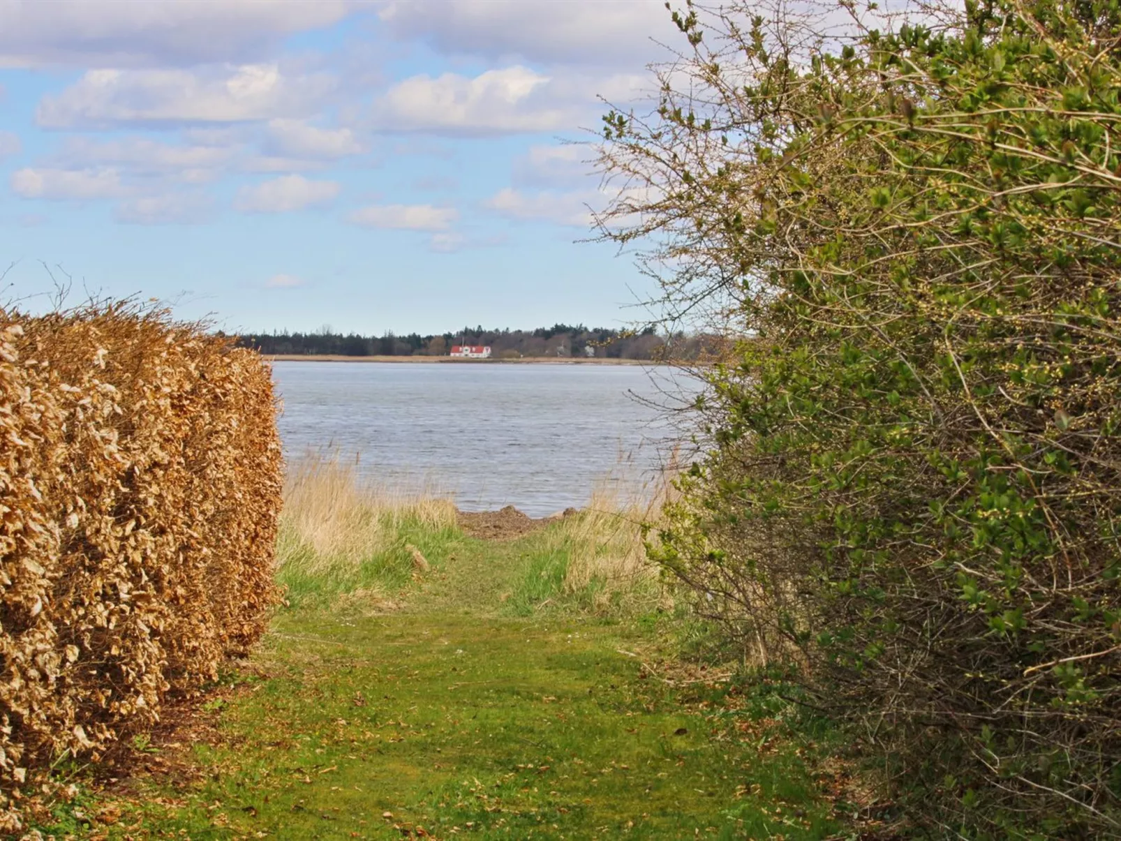 "Bendine" - 100m to the fjord-Buiten