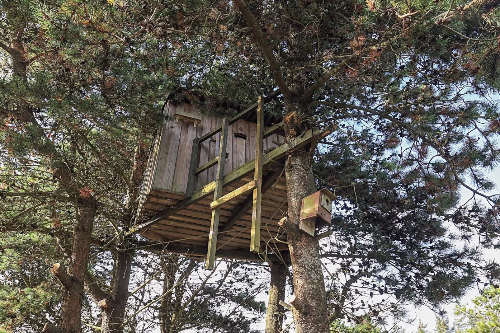 6 Personen vakantie huis in Thisted-Uitzicht