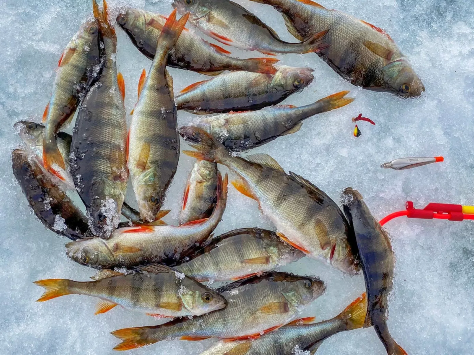 Rukaniemen kontio-Binnen