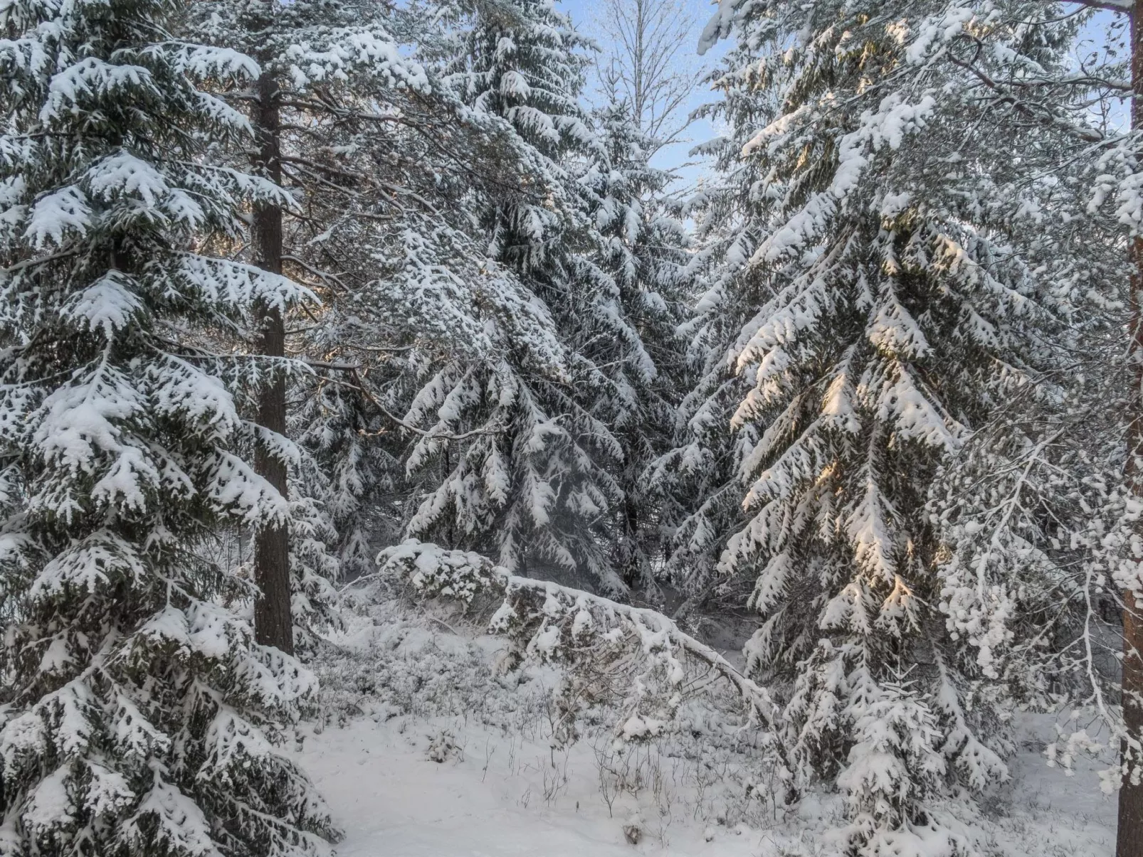Vaarapirtti / tähti-Binnen