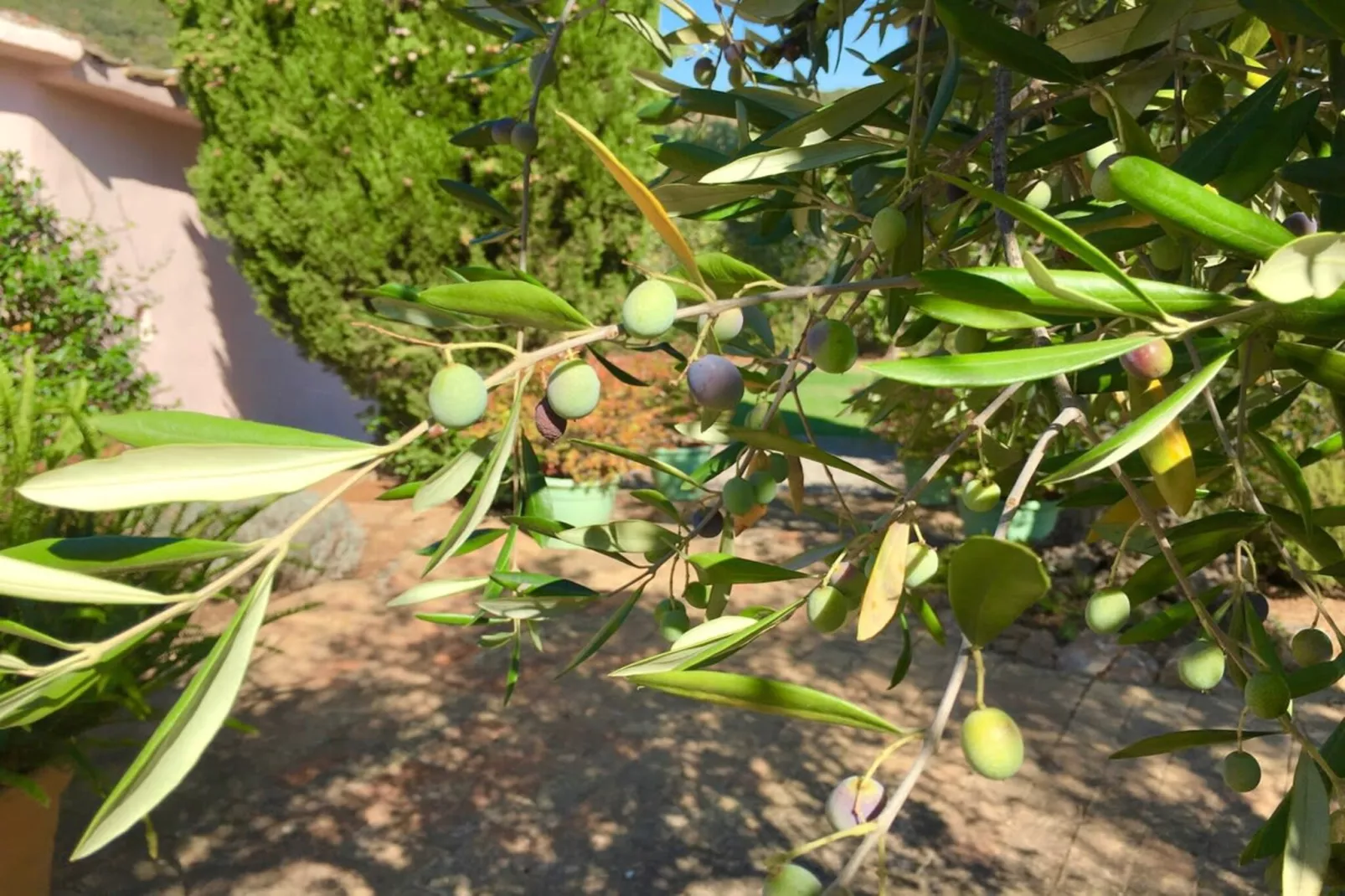 Villa della Fonte-Sfeer