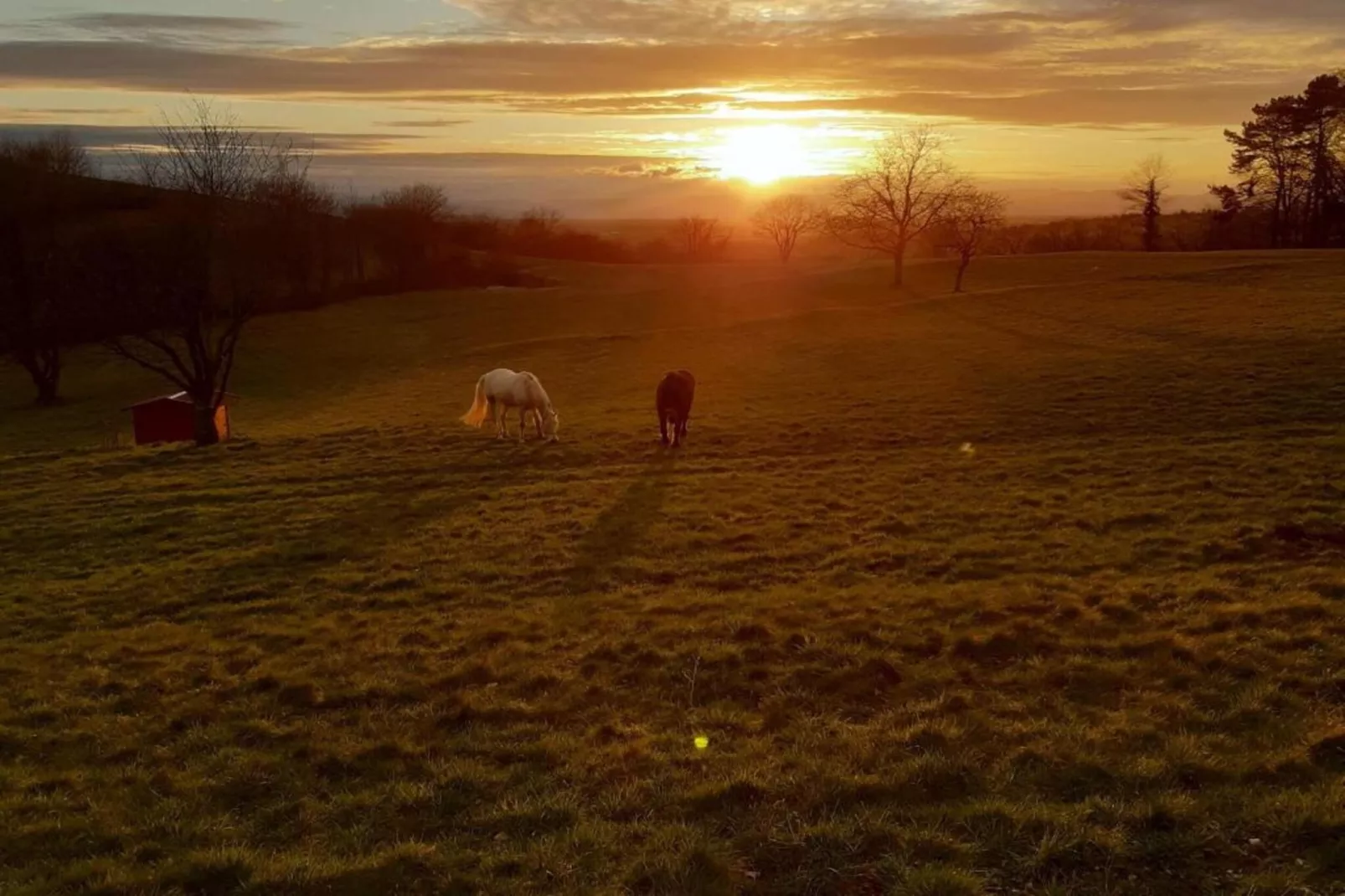 Luxuriöses Wohnen im historischen Haus-Gebieden zomer 5km