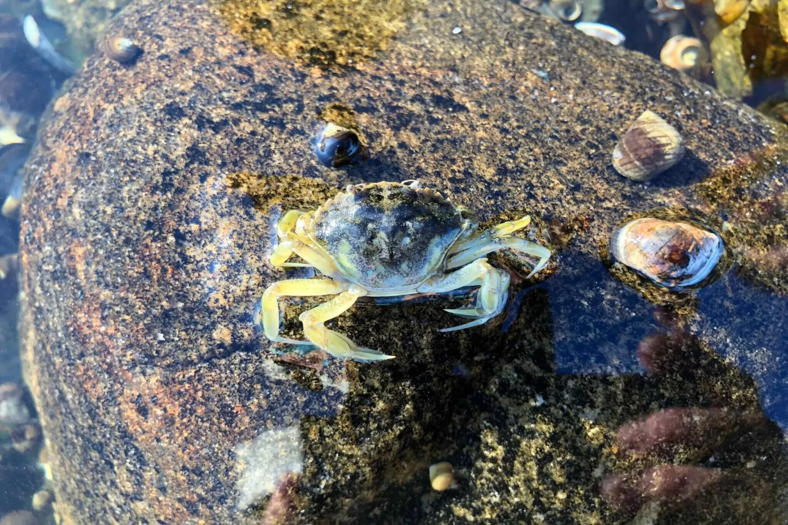 5 sterren vakantie huis in Grevinge-Niet-getagd