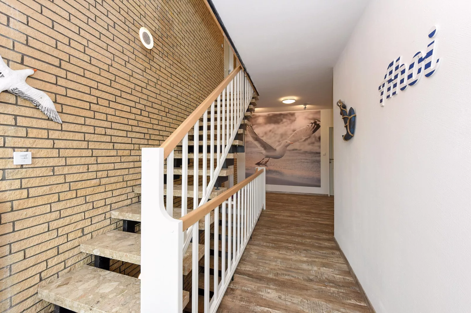 Haus zur Möwe 3 - Trap