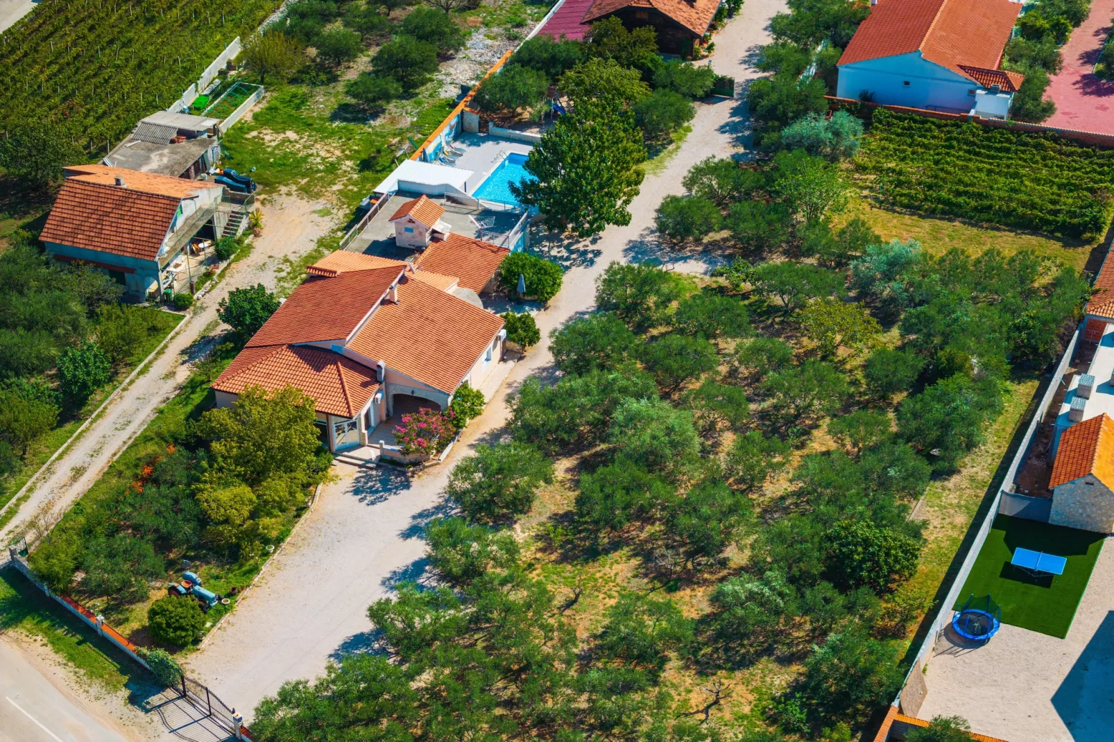 Holiday home Nadalina-Gebieden zomer 1km