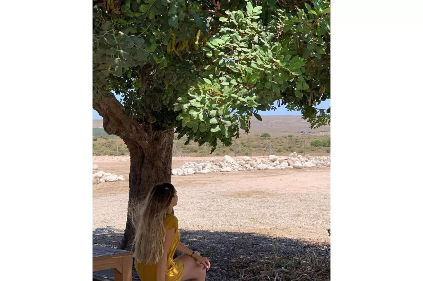 CT 354 AL - Faro's Casa Piedra - Agua Amarga - Cabo de Gata-Gebieden zomer 5km