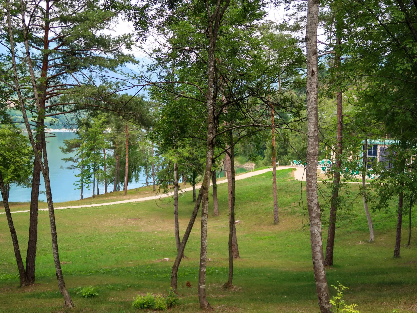 Maset Pozzati-Omgeving