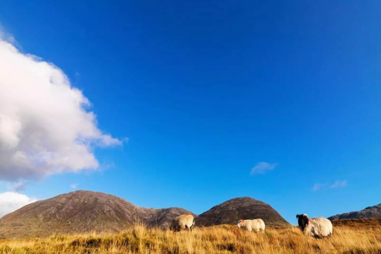 Maison à Cleggan Galway-Niet-getagd