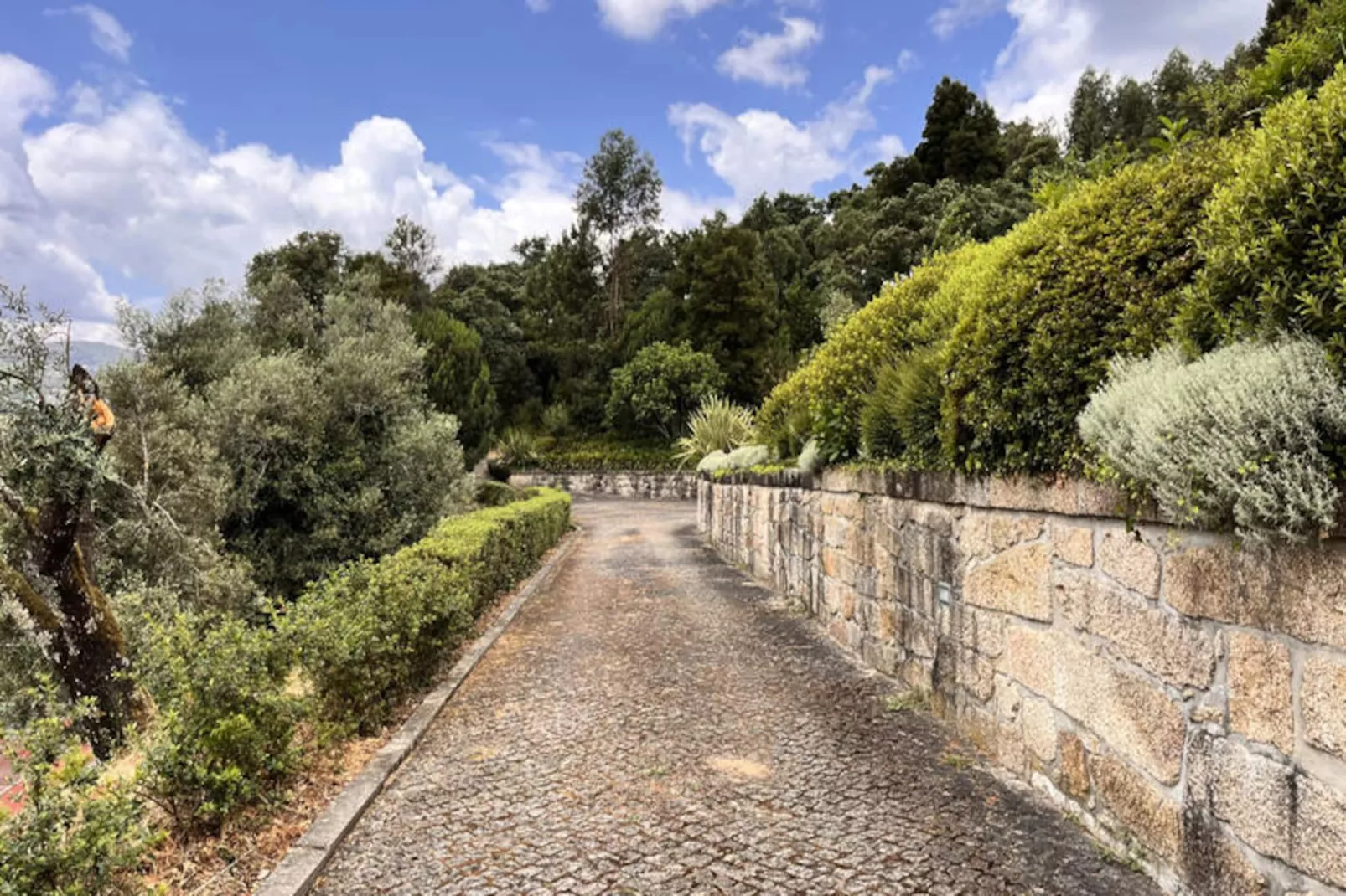 Appartements à Cabeceiras de Basto-Niet-getagd