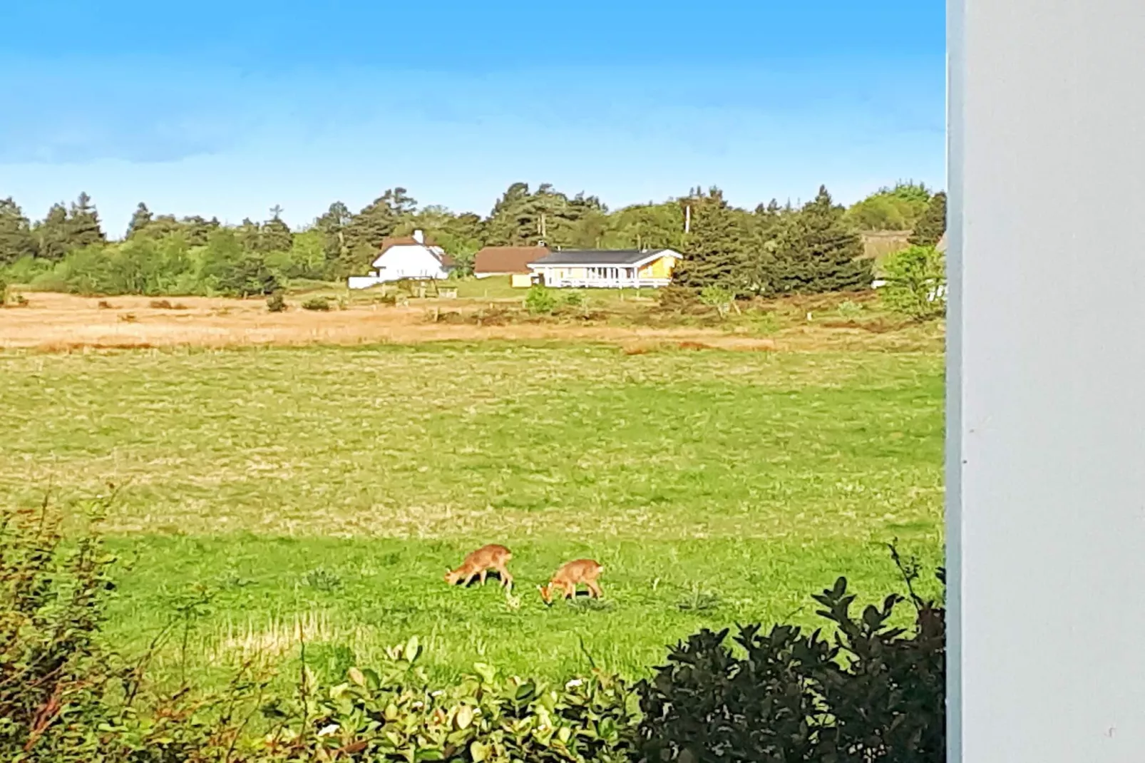 5 persoons vakantie huis in Rømø-Uitzicht