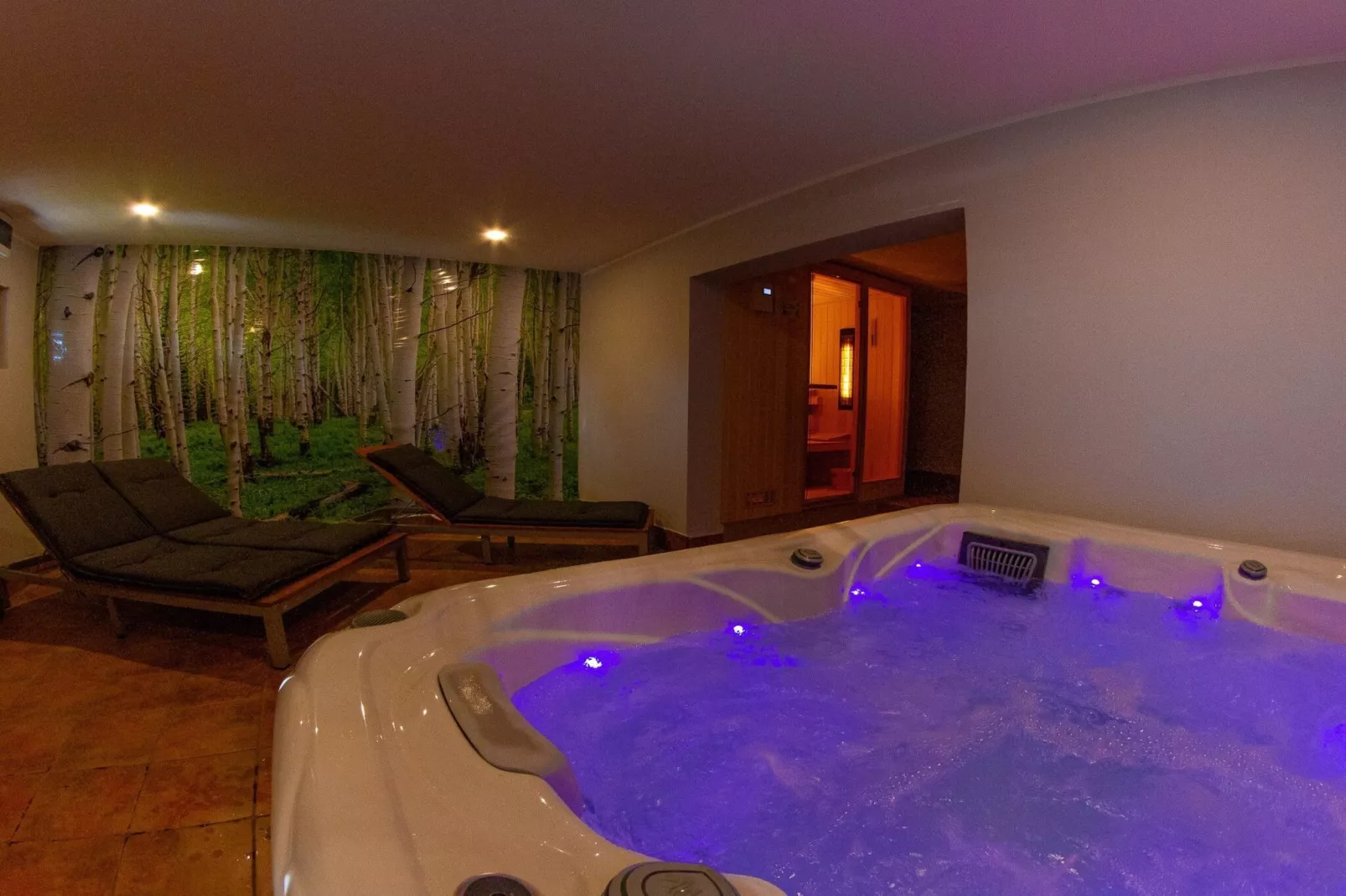 Hillside Haven Holiday Home with Sauna and Hot-Tub - One Bedroom Holiday Home with Sauna and Hot-Tub-Sauna