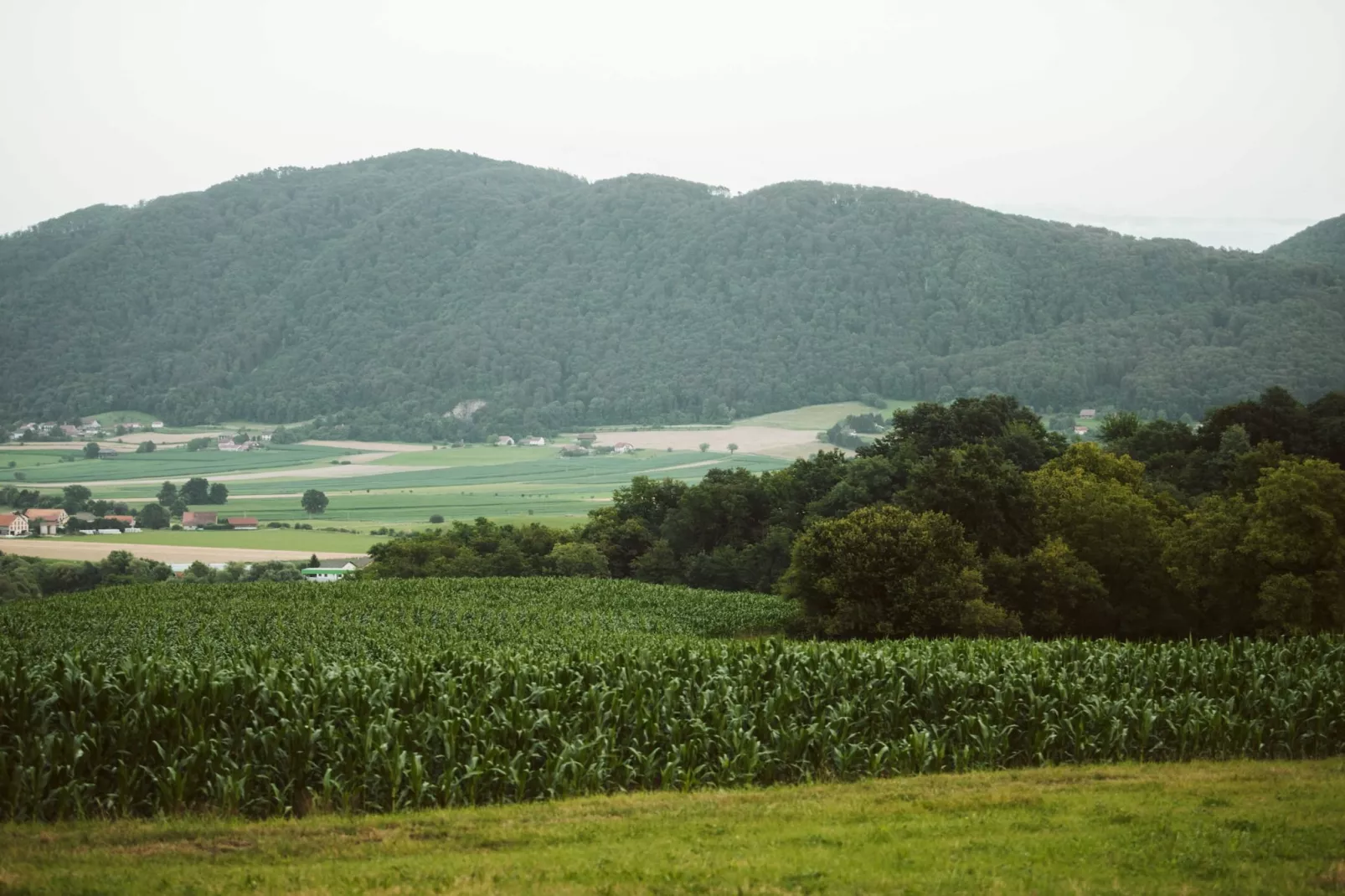 Cozy Holiday Home with Fireplace and Scenic Hills in Bistrica ob Sotli - Two Bedroom Holiday Home-Uitzicht