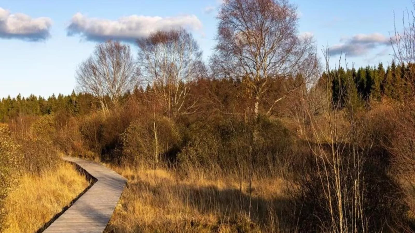 Der Lebendige Garten-Gebieden zomer 20km
