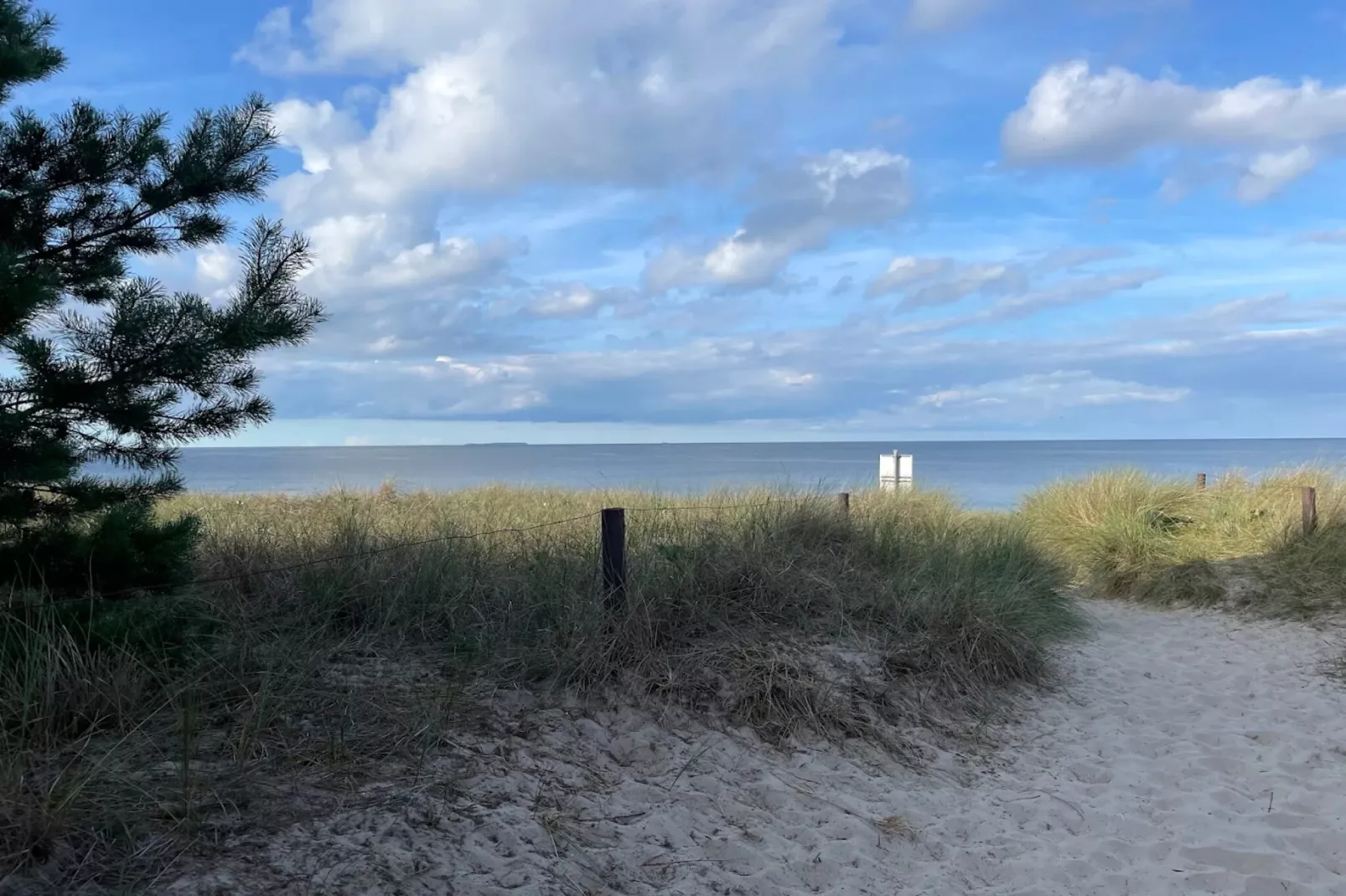 OG links 50 qm-Gebieden zomer 5km