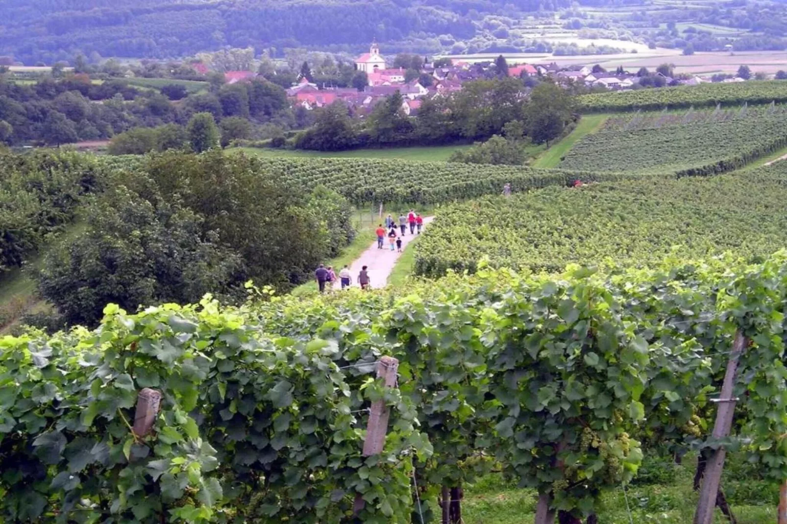 Luxuriöses Wohnen im historischen Haus-Gebieden zomer 5km