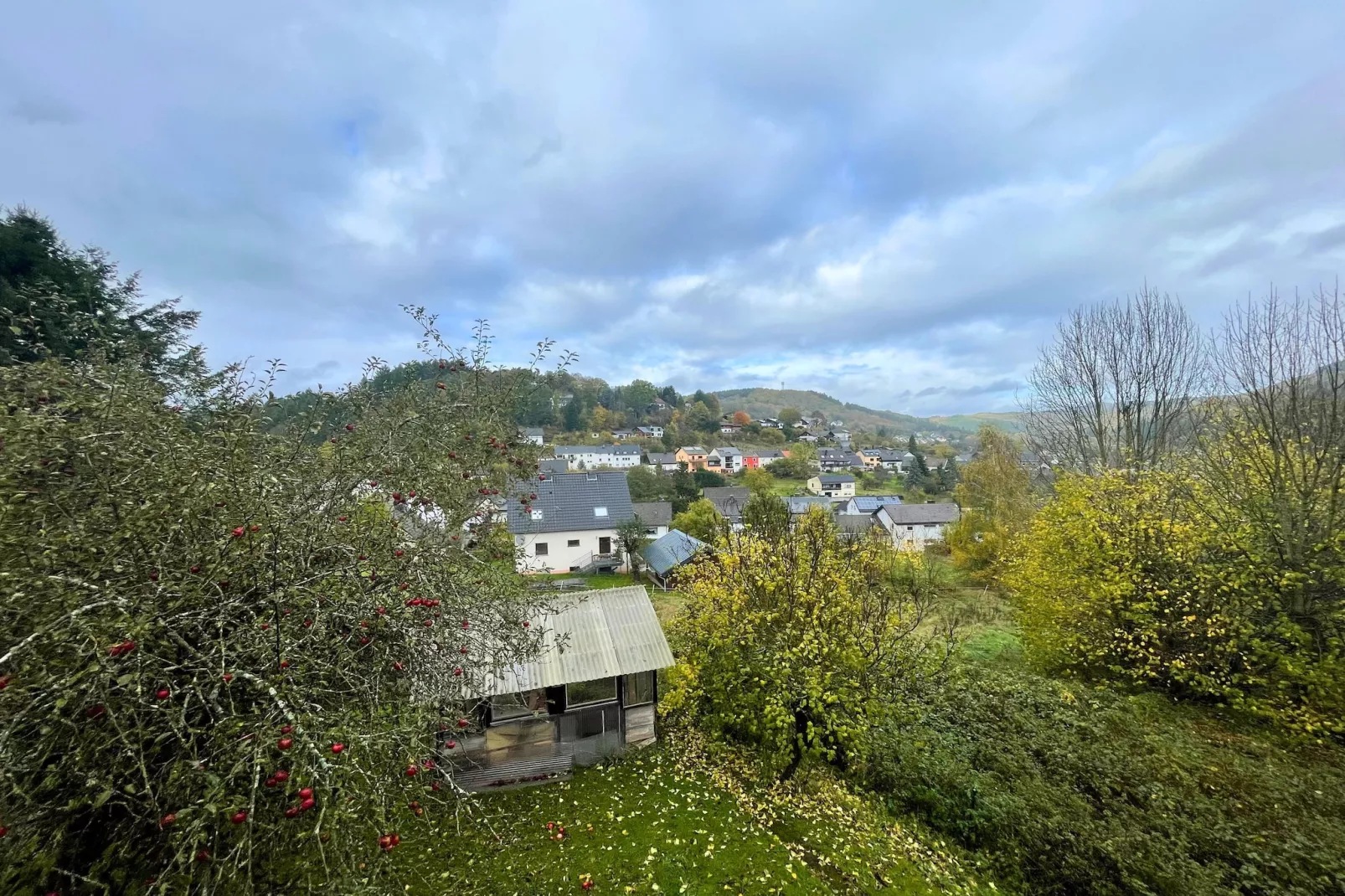 Ferienhaus Birresborn-Uitzicht zomer