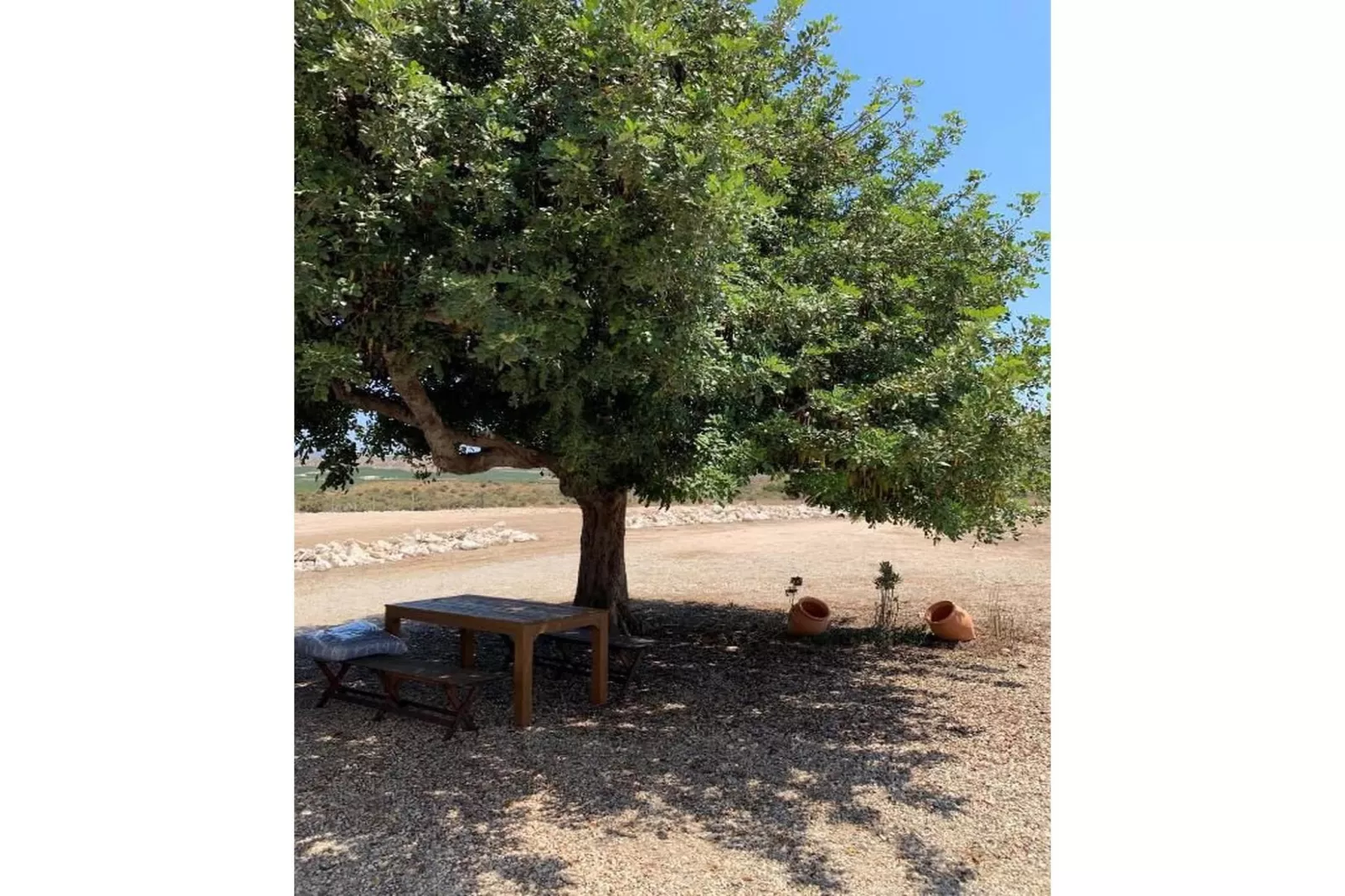 CT 354 AL - Faro's Casa Piedra - Agua Amarga - Cabo de Gata-Gebieden zomer 5km