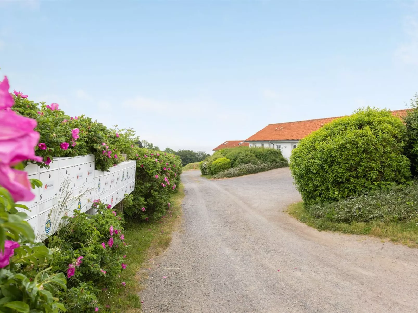 "Roger" - 400m from the sea-Buiten